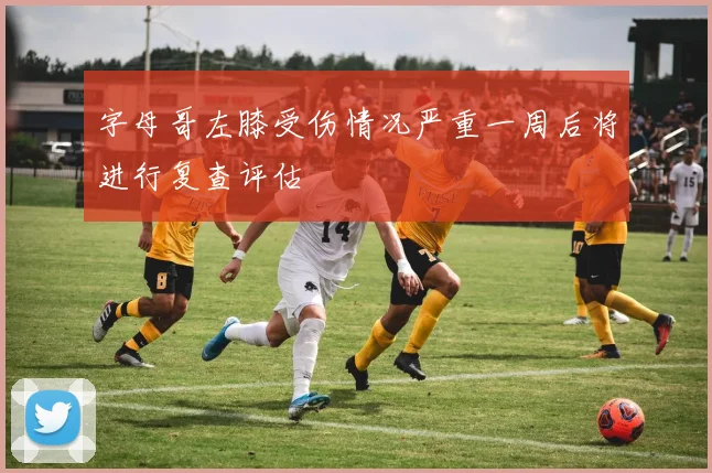 字母哥左膝受伤情况严重一周后将进行复查评估