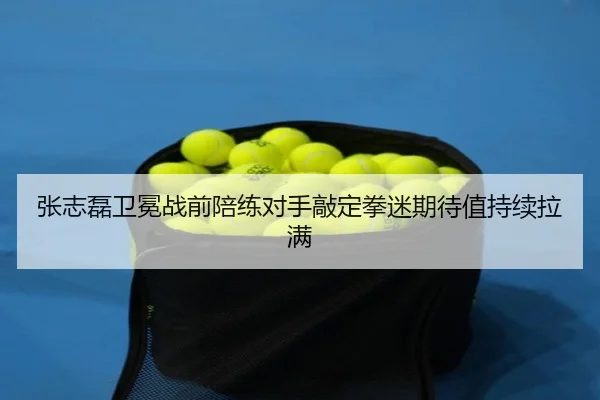 张志磊卫冕战前陪练对手敲定拳迷期待值持续拉满 | www.jiuyou..com